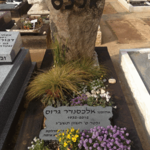 מצבות מיוחדות